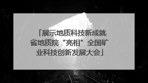 展示地质科技新成就 省地质院“亮相”全国矿业科技创新发展大会