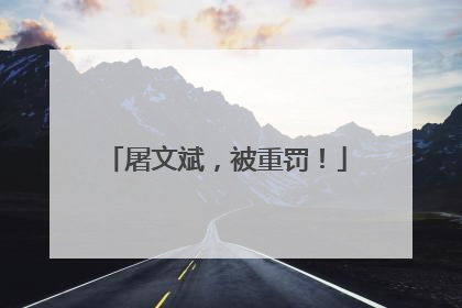 屠文斌，被重罚！