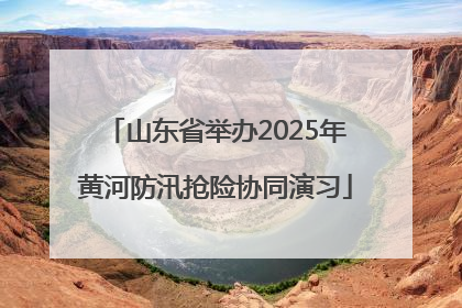 山东省举办2025年黄河防汛抢险协同演习