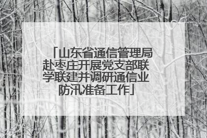 山东省通信管理局赴枣庄开展党支部联学联建并调研通信业防汛准备工作