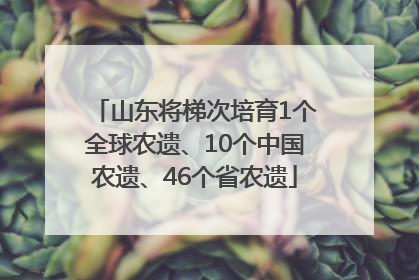 山东将梯次培育1个全球农遗、10个中国农遗、46个省农遗