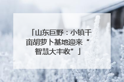 山东巨野：小镇千亩胡萝卜基地迎来“智慧大丰收”