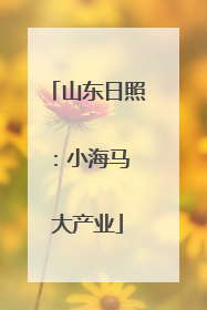 山东日照：小海马 大产业