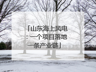 山东海上风电：一个项目落地一条产业链