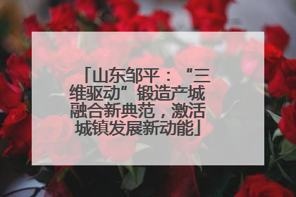 山东邹平：“三维驱动”锻造产城融合新典范，激活城镇发展新动能