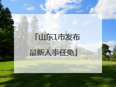 山东1市发布最新人事任免