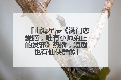 山海星辰《满门恋爱脑，唯有小师弟正的发邪》热播，短剧也有仙侠群像
