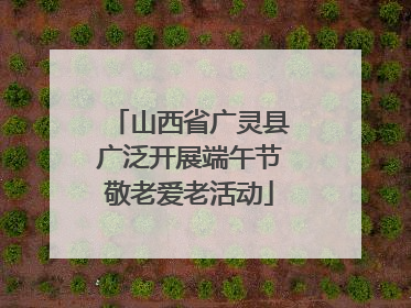山西省广灵县广泛开展端午节敬老爱老活动