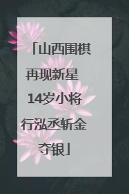 山西围棋再现新星 14岁小将行泓丞斩金夺银