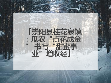 崇阳县桂花泉镇：瓜农“点花成金” 书写“甜蜜事业”增收经