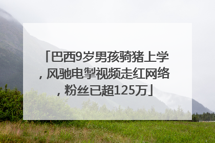 巴西9岁男孩骑猪上学，风驰电掣视频走红网络，粉丝已超125万