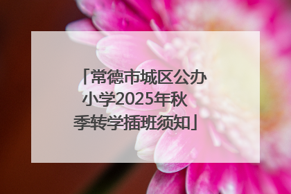 常德市城区公办小学2025年秋季转学插班须知