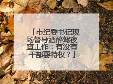 市纪委书记现场督导酒醉驾夜查工作：有没有干部耍特权？