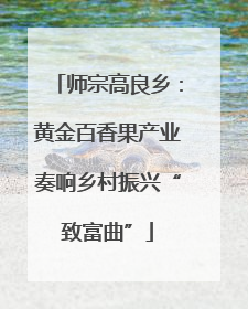 师宗高良乡：黄金百香果产业奏响乡村振兴“致富曲”
