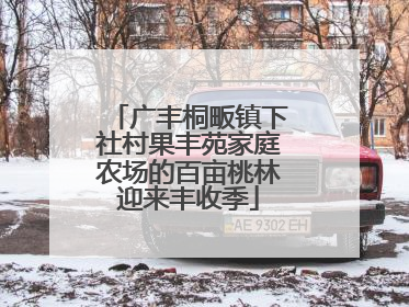 广丰桐畈镇下社村果丰苑家庭农场的百亩桃林迎来丰收季