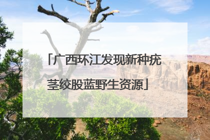 广西环江发现新种疣茎绞股蓝野生资源
