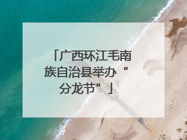 广西环江毛南族自治县举办“分龙节”