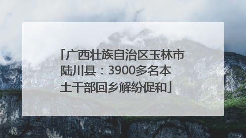 广西壮族自治区玉林市陆川县：3900多名本土干部回乡解纷促和