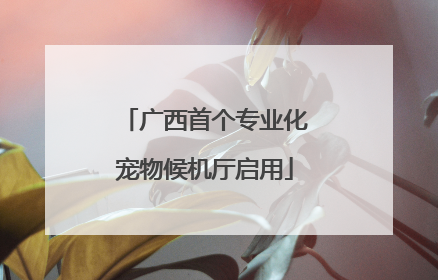 广西首个专业化宠物候机厅启用