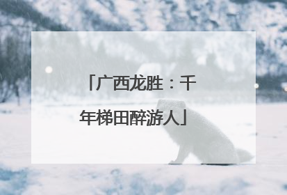 广西龙胜：千年梯田醉游人
