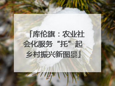 库伦旗：农业社会化服务“托”起乡村振兴新图景