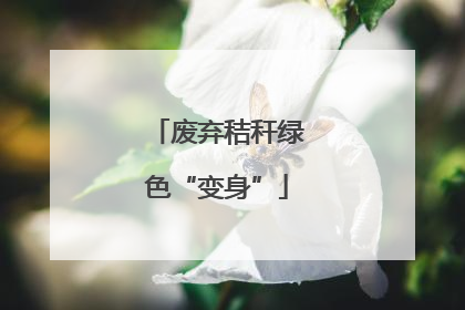 废弃秸秆绿色“变身”