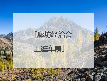 廊坊经洽会上逛车展