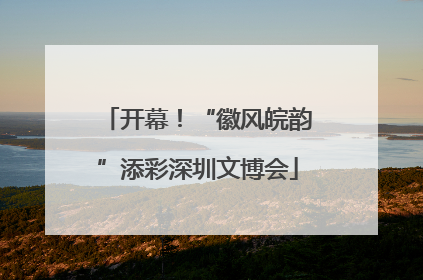 开幕！“徽风皖韵”添彩深圳文博会
