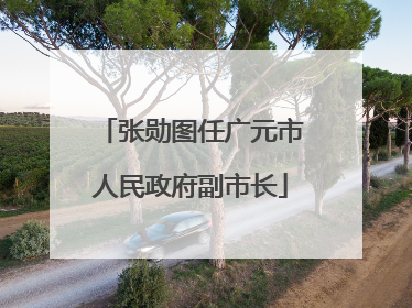 张勋图任广元市人民政府副市长