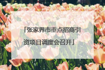 张家界市重点招商引资项目调度会召开