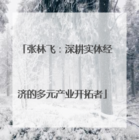 张林飞：深耕实体经济的多元产业开拓者