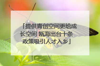 提供青创空间更给成长空间 瓯海出台十条政策吸引人才入乡