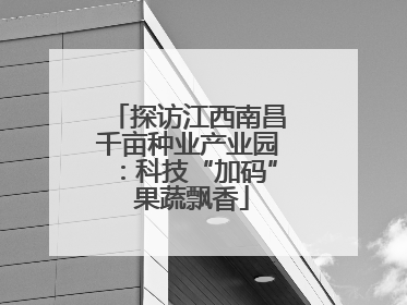 探访江西南昌千亩种业产业园：科技“加码” 果蔬飘香