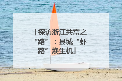探访浙江共富之“路”：县城“虾路”焕生机