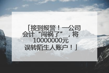 接到报警！一公司会计“闯祸了”，将10000000元误转陌生人账户！