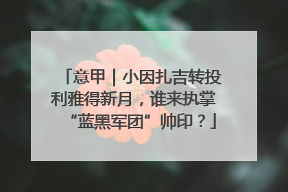意甲｜小因扎吉转投利雅得新月，谁来执掌“蓝黑军团”帅印？