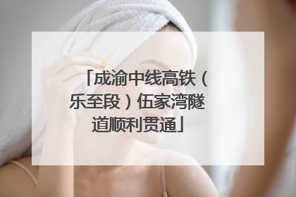 成渝中线高铁（乐至段）伍家湾隧道顺利贯通