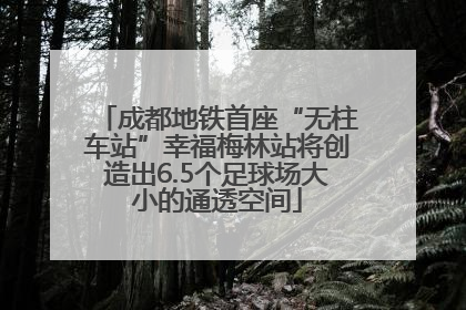 成都地铁首座“无柱车站”幸福梅林站将创造出6.5个足球场大小的通透空间