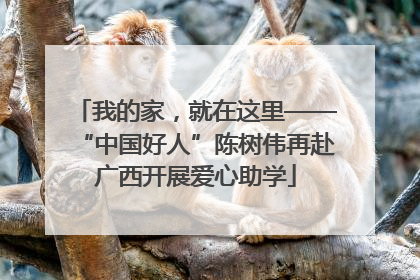 我的家，就在这里——“中国好人”陈树伟再赴广西开展爱心助学