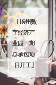 扬州数字经济产业园一期总承包项目开工