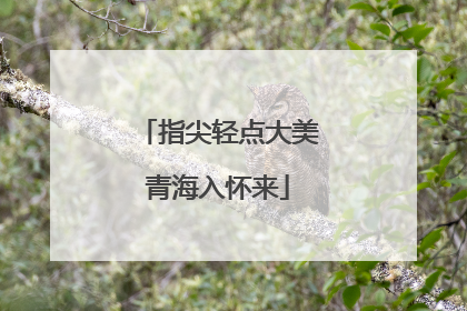 指尖轻点大美青海入怀来