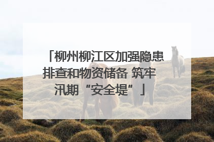 柳州柳江区加强隐患排查和物资储备 筑牢汛期“安全堤”