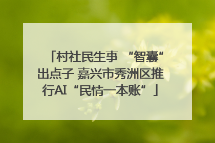 村社民生事 “智囊”出点子 嘉兴市秀洲区推行AI“民情一本账”