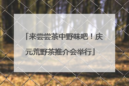 来尝尝茶中野味吧！庆元荒野茶推介会举行