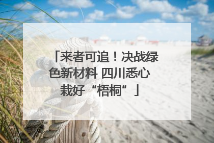来者可追！决战绿色新材料 四川悉心栽好“梧桐”