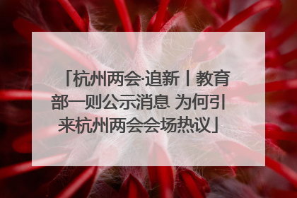杭州两会·追新丨教育部一则公示消息 为何引来杭州两会会场热议