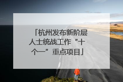 杭州发布新阶层人士统战工作“十个一”重点项目