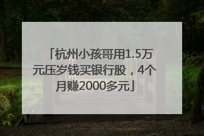 杭州小孩哥用1.5万元压岁钱买银行股，4个月赚2000多元