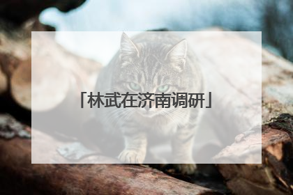 林武在济南调研