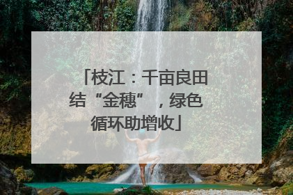 枝江：千亩良田结“金穗”，绿色循环助增收